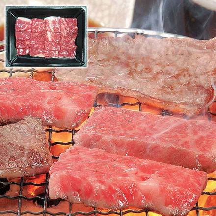岐阜 飛騨牛焼肉 250g
