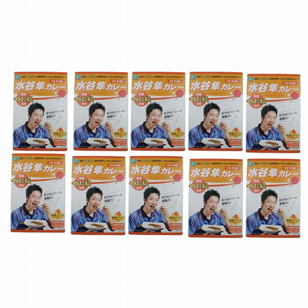 水谷隼監 修 水谷隼カレー 10個 カレー ポークカレー 200g×10個