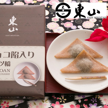 京都 東山八ツ橋本舗 チョコレート生八ツ橋 9個×5 計45個 常温