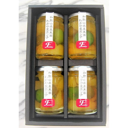 和歌山 「ふみこ農園」 わかやまポンチ4本セット 140ｇ×4