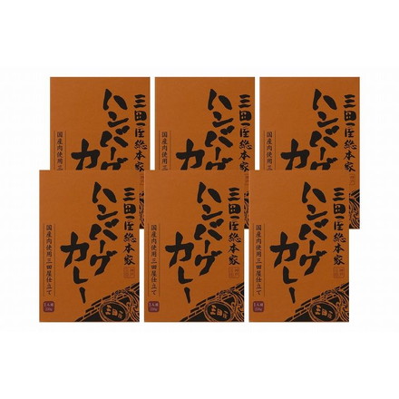 「三田屋総本家」 ハンバーグカレー 詰合せセット ハンバーグカレー220g×6