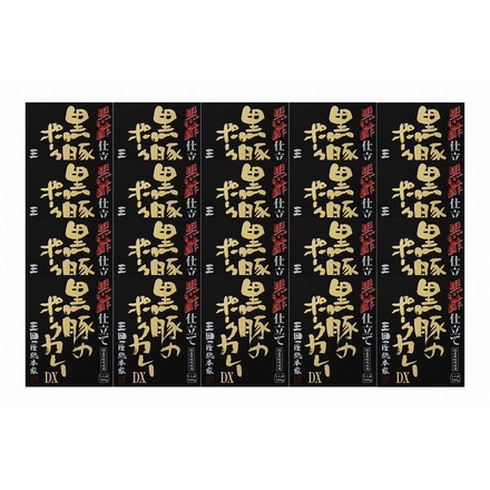 「三田屋総本家」 黒酢仕立て黒豚のポークカレーDX 20食 220g×20食