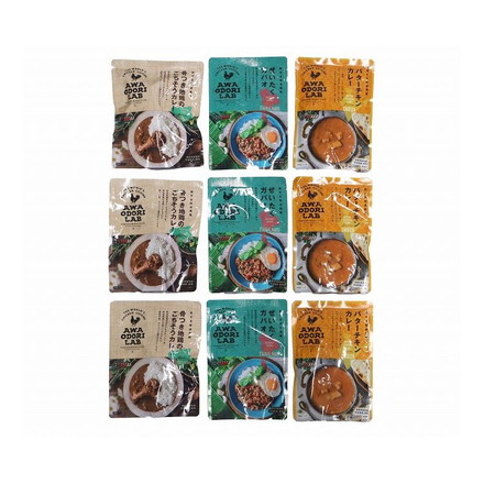 徳島 AWAODORI LAB 骨付きカレー ガパオ バターチキンカレー9個セット カレー