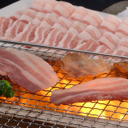 山形県食肉公社認定 山形豚 焼肉用 バラ肉 200g