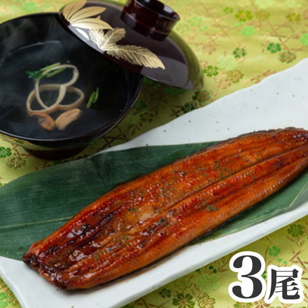 丑の日 うなぎ問屋の大五蒲焼 長焼3尾 肝吸付き 土用の丑の日 鰻 蒲焼 夏 お取り寄せグルメ