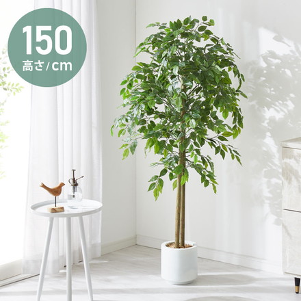 フェイクグリーン ベンジャミン