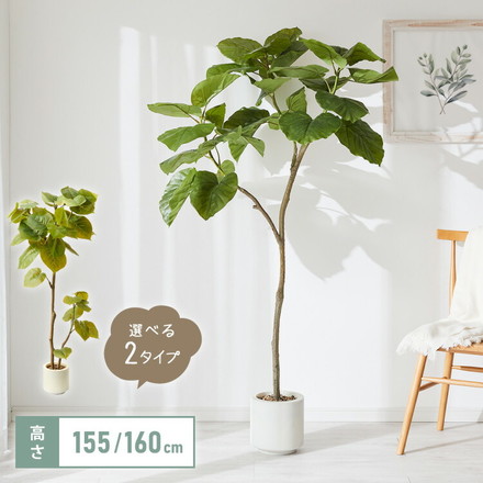 人工観葉植物 ウンベラータ 一本 フェイクグリーン 大型 ウンベラータ 155cm 160cm Bタイプ