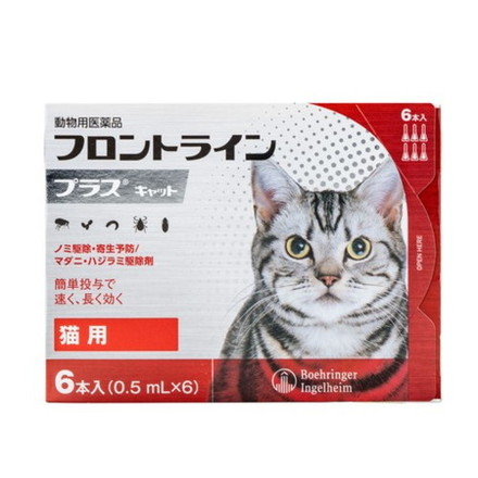 動物用医薬品 フロントライン 猫用 6本入 フロントラインプラスキャット