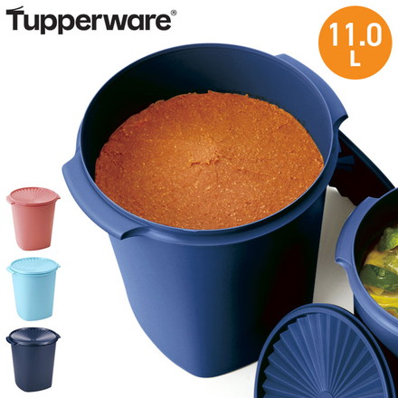 タッパーウェア マキシクィーンデコレーター Tupperware タッパーウェア マキシクイーンデコレーター 11L 2個セット
