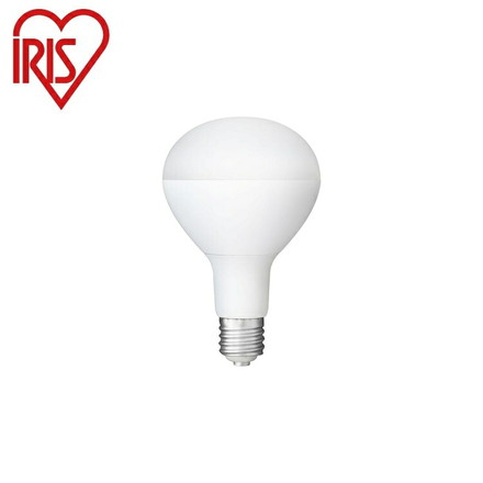 アイリスオーヤマ LED投光器用交換電球3000lm LDR25D-H-E39-E2 IRIS OHYAMA