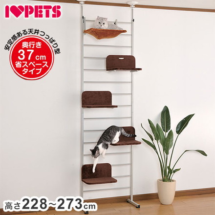 ボンビアルコン 猫用 キャットウォーク キャットタワー 省スペース スリム コンパクト 幅狭 組立簡単 組み立て簡単