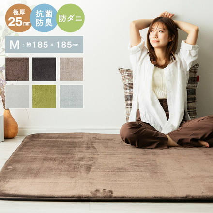 洗える オールシーズン 極厚ラグ 185×185 2畳 厚み25mm 防ダニ 抗菌防臭 超極細フランネル ラグマット 滑り止め付 マット ラグカーペット アイボリー