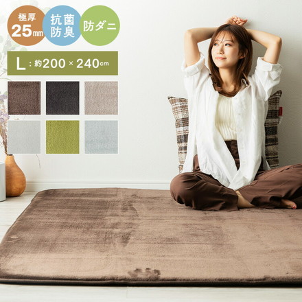 洗える オールシーズン 極厚ラグ 200×240 3畳 厚み25mm 防ダニ 抗菌防臭 超極細フランネル ラグマット 滑り止め付 マット ラグカーペット ブラウン