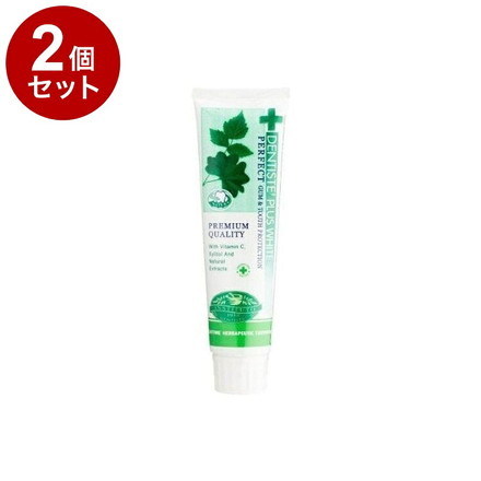 【単品2セット】 デンティス エチケット ペースト ハミガキ粉 100g ミント DENTISTE