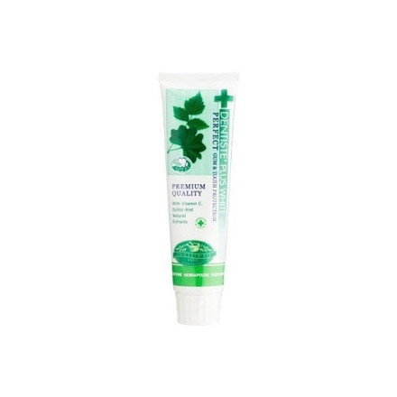 デンティス エチケット ペースト ハミガキ粉 100g ミント DENTISTE