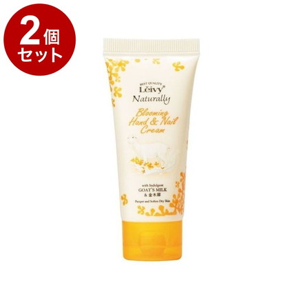 【単品2個セット】 レイヴィー ハンド&ネイルクリーム 金木犀 50g 保湿 ハンドクリーム ハンドケア 乾燥対策 Leivy