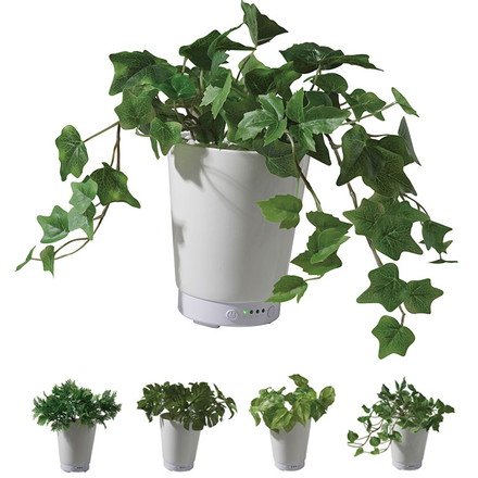 グリーンアロマミスト 超音波式加湿器 GREEN AROMA MIST KSHU-01 人工観葉植物 アロマミスト 加湿器 ライソン ファーン