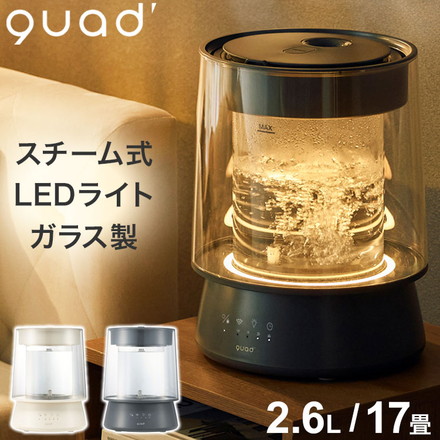 QUADS クワッズ ガラススチーム式加湿器 GLASS 2.6L ポット型 QS649 上部給水 おしゃれ インテリア LEDライト 照明 常夜灯 タイマー 加熱 衛生 着脱 取り外し お手入れ簡単 卓上 リモコン パワフル アイボリー