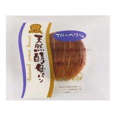 【12個セット】 デイプラス 天然酵母パン ブルーベリー味 1個 x12 セット まとめ売り セット販売 お徳用 おまとめ品