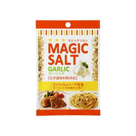 S&B エスビー マジックソルト ガーリック 袋入 20g x10 10個セット