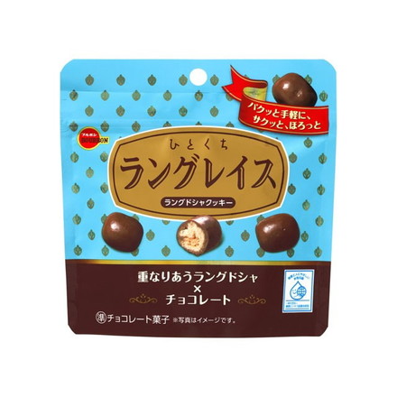 【単品10個セット】 ブルボン ひとくちラングレイス 47g