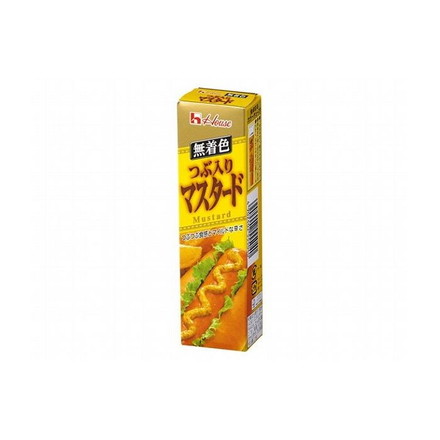 【10個セット】 ハウス つぶ入りマスタード チューブ 40g x10コ