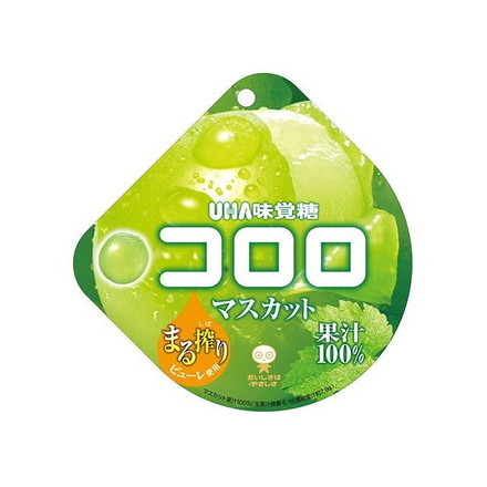 【6個セット】 味覚糖 コロロ マスカット 48g x6 まとめ買い まとめ売り お徳用 大容量 セット販売