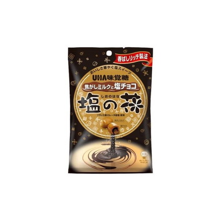 【単品6個セット】 味覚糖 塩の花 71g
