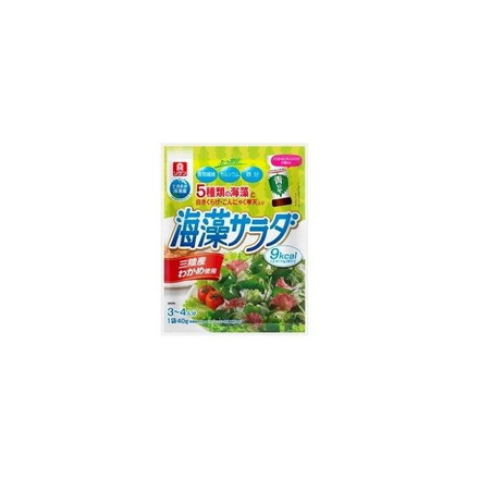 【10個セット】 理研 乾燥 海草サラダ 10g x10 まとめ売り セット販売 お徳用 おまとめ品