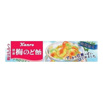 【10個セット】 カンロ 100 健康梅のど飴 スティック 11粒 x10 まとめ売り セット販売 お徳用 おまとめ品