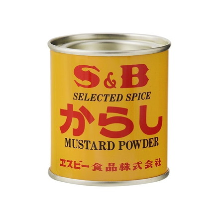 【単品10個セット】 S&B エスビー からし 35g