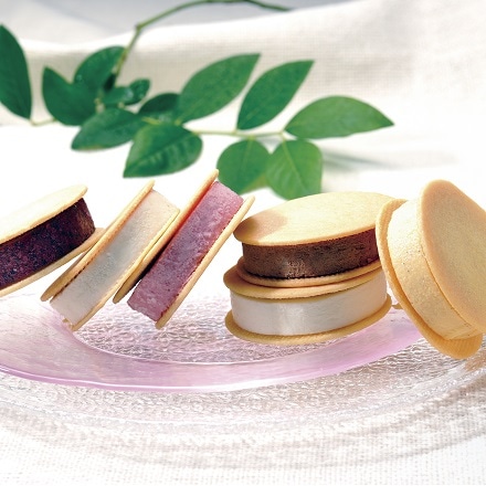 CANDICE クッキーアイス 6種セット 各40ml