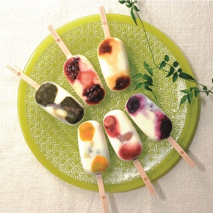 CANDICE フローズンフルーツバー 6個セット