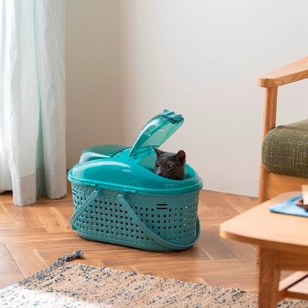 アイリスオーヤマ メッシュペットキャリー MPC-450 ターコイズ