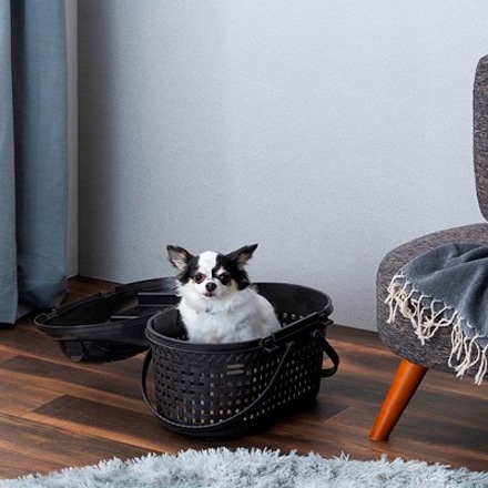 アイリスオーヤマ メッシュペットキャリー MPC-450 ブラウン