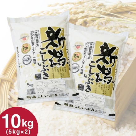 令和6年産 新潟県産 こしいぶき 5kg×2 「五ツ星お米マイスター」推奨米