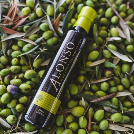 エキストラバージンオリーブオイル ALONSO(SPECIAL BLEND） F-OLVL249048B