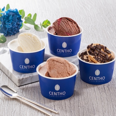 セントー　ショコラティエのアイスアソート 10個 AH-CT