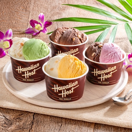 ハワイアンホースト　マカダミアナッツアイス 8個 AH-HS