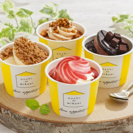 三國清三監修 北海道リッチアイス 計10個