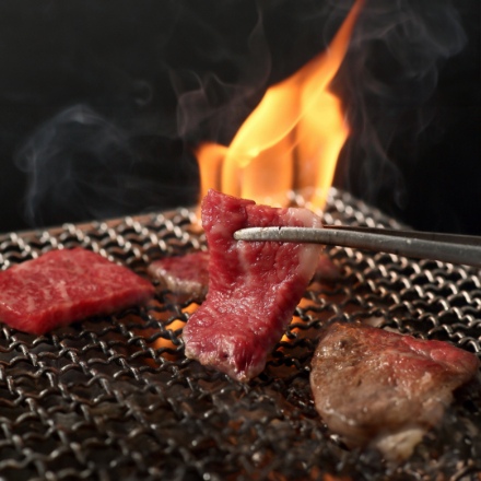 萬野屋 萬野和牛 焼肉モモ・ウデ480g