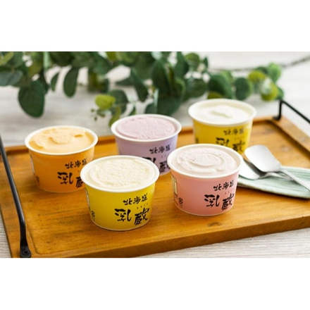 「乳蔵」北海道アイスセット バニラ・クリームチーズ・ハスカップ・ストロベリー・赤肉メロン 各90ml×1個/計5個