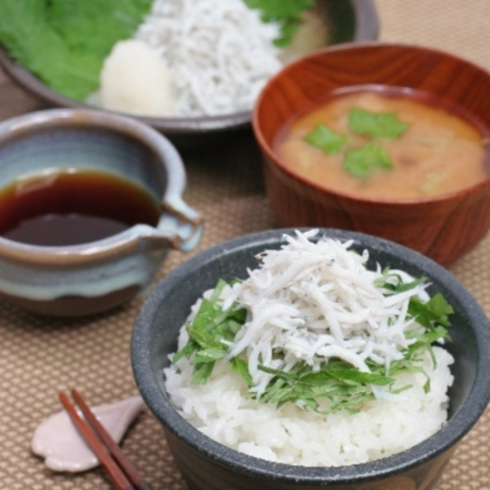 和歌山 紀州 かまあげしらす 300g