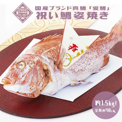 祝い鯛姿焼き 1.5kg
