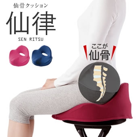 猫背矯正 仙骨クッション 仙律 ルビー