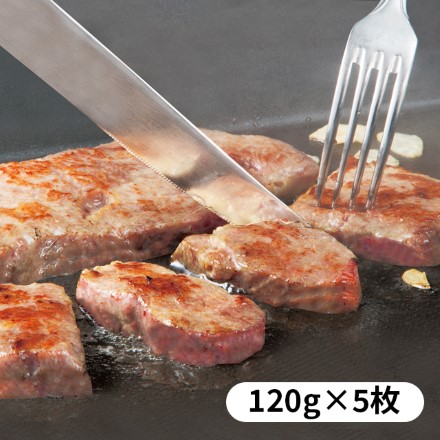 サーロイン ステーキ 600g 120ｇ×5枚 牛サーロイン やわらか 牛肉 冷凍 クール便