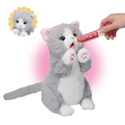 ぺろりーにゃ　グレー ちゅ～るちょうだい!