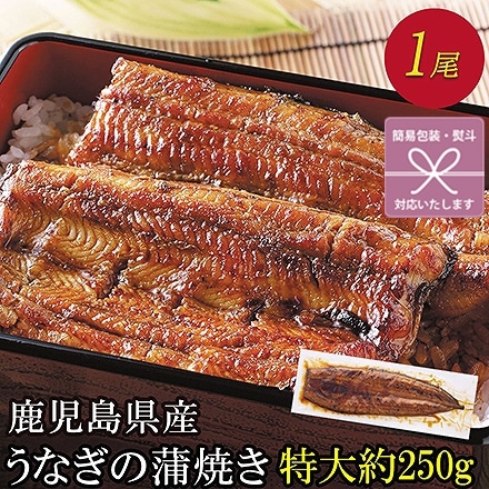 うなぎ 蒲焼 特大 1尾 タレ山椒付き 鹿児島県産 鰻 熨斗なし