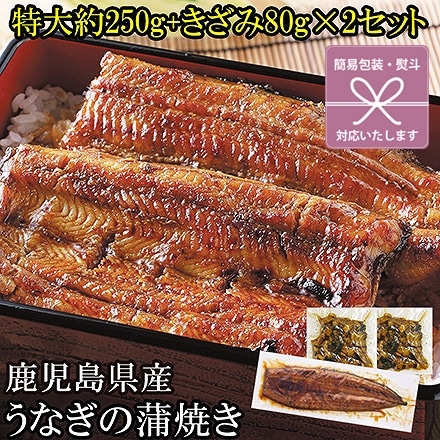 うなぎ 蒲焼 特大 1尾 ＋ きざみ 2袋 セット タレ山椒付き 鹿児島県産 鰻 熨斗なし