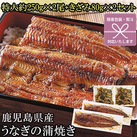うなぎ 蒲焼 特大 2尾 ＋ きざみ 2袋 セット タレ山椒付き 鹿児島県産 鰻 熨斗なし